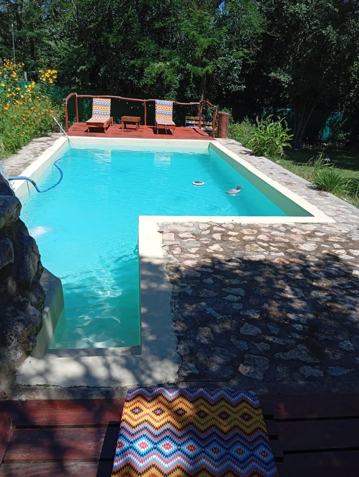 Villa La Isolina Villa Giardino Dış mekan fotoğraf