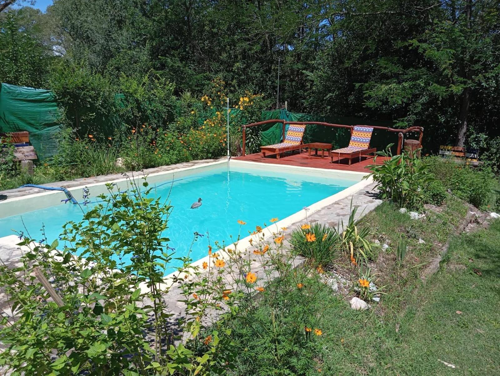 Villa La Isolina Villa Giardino Dış mekan fotoğraf