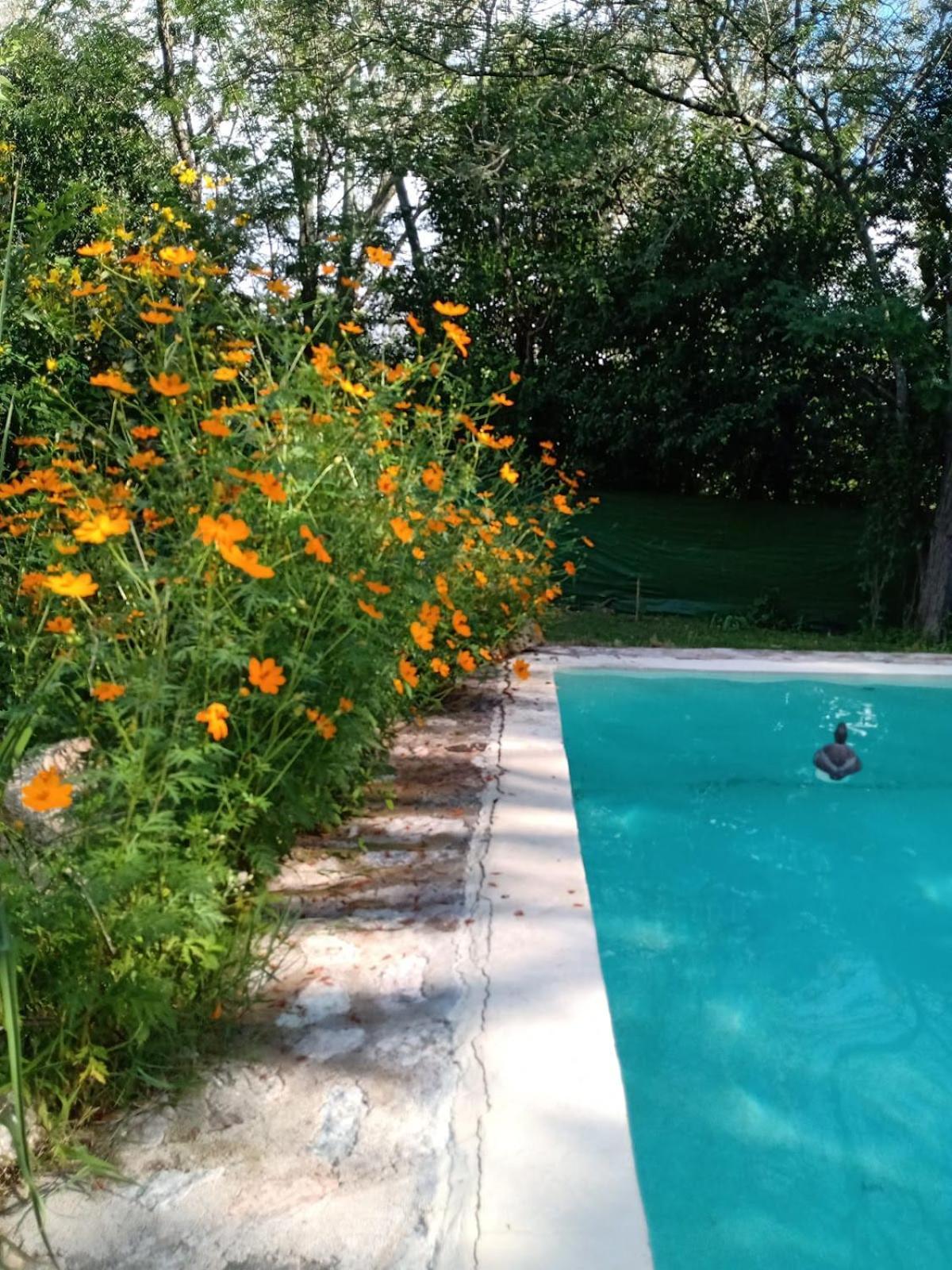 Villa La Isolina Villa Giardino Dış mekan fotoğraf
